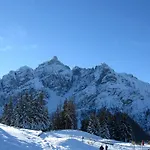 Bierwirt
